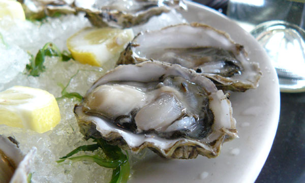Peljesac oysters